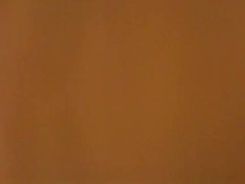 Magnifique baise amateur