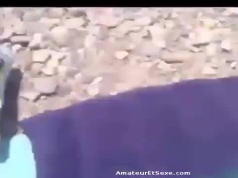 Française enculée à 4 pattes au bord de la plage