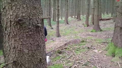 Sodomisée façon pute en forêt