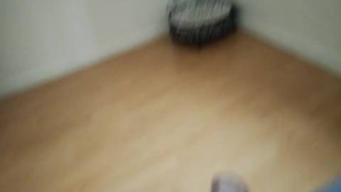 Il filme sa meuf qui lui chevauche la queue