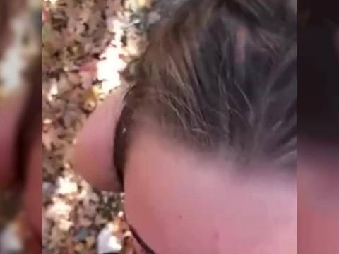 Bonne pipe en automne dans les bois