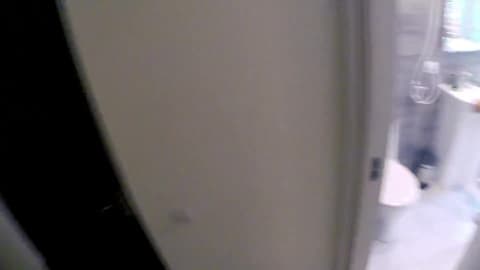 Frère et sœur baisent dans la salle de bain