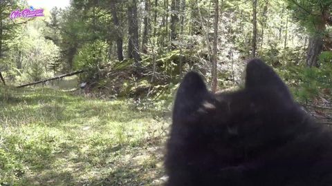 Un Porno français de chienne excitée